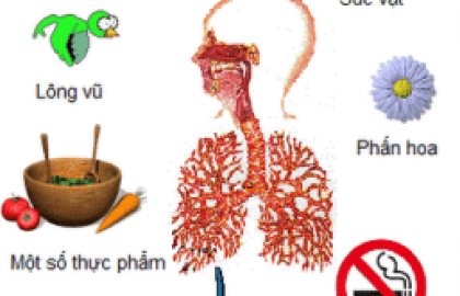 Cách chăm sóc trẻ bị hen phế quản tại nhà