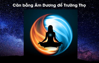 Sự hòa hợp giữa con người và trời đất